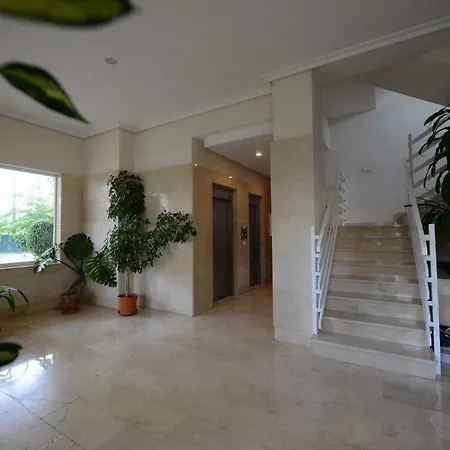 Apartamento Apartamento Azalea Playa