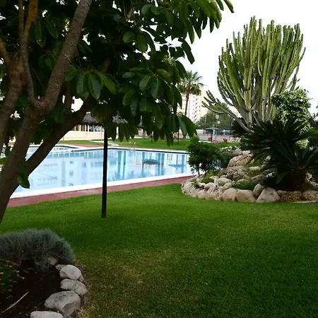 Apartamento Azalea Playa Апартаменты